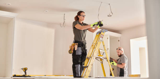 Best Electric Panel Repair  in Mahnomen, MN