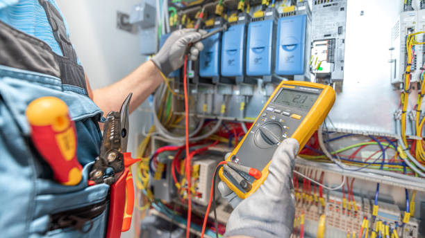 Best Ceiling Fan Installation Electrician  in Mahnomen, MN
